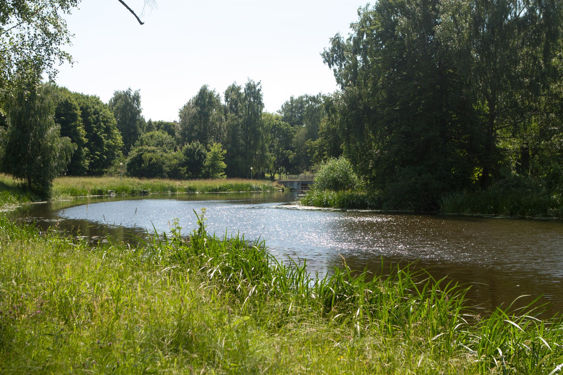 Daugelio panevėžiečių mėgstama laisvalaikio praleidimo vieta buvęs Skaistakalnio parkas ne vieną atbaidė dėl nesutvarkytos infrastruktūros ir nesaugumo. Planuojant sutvarkyti šią, vieną gražiausių Panevėžio vietų, paklausta ir gyventojų nuomonės.