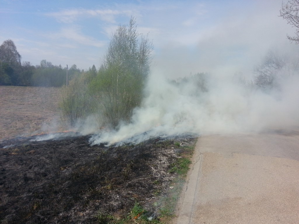 Šeštadienio popietę ugniagesiams skubėjus gesinti vieno pirmųjų šį sezoną žolės degintojų sukeltų gaisrų vakarinėje miesto dalyje, už prekybos ir pramogų centro „Ryo“, aplinkosaugininkai įspėja apie tokio elgesio pasekmes.