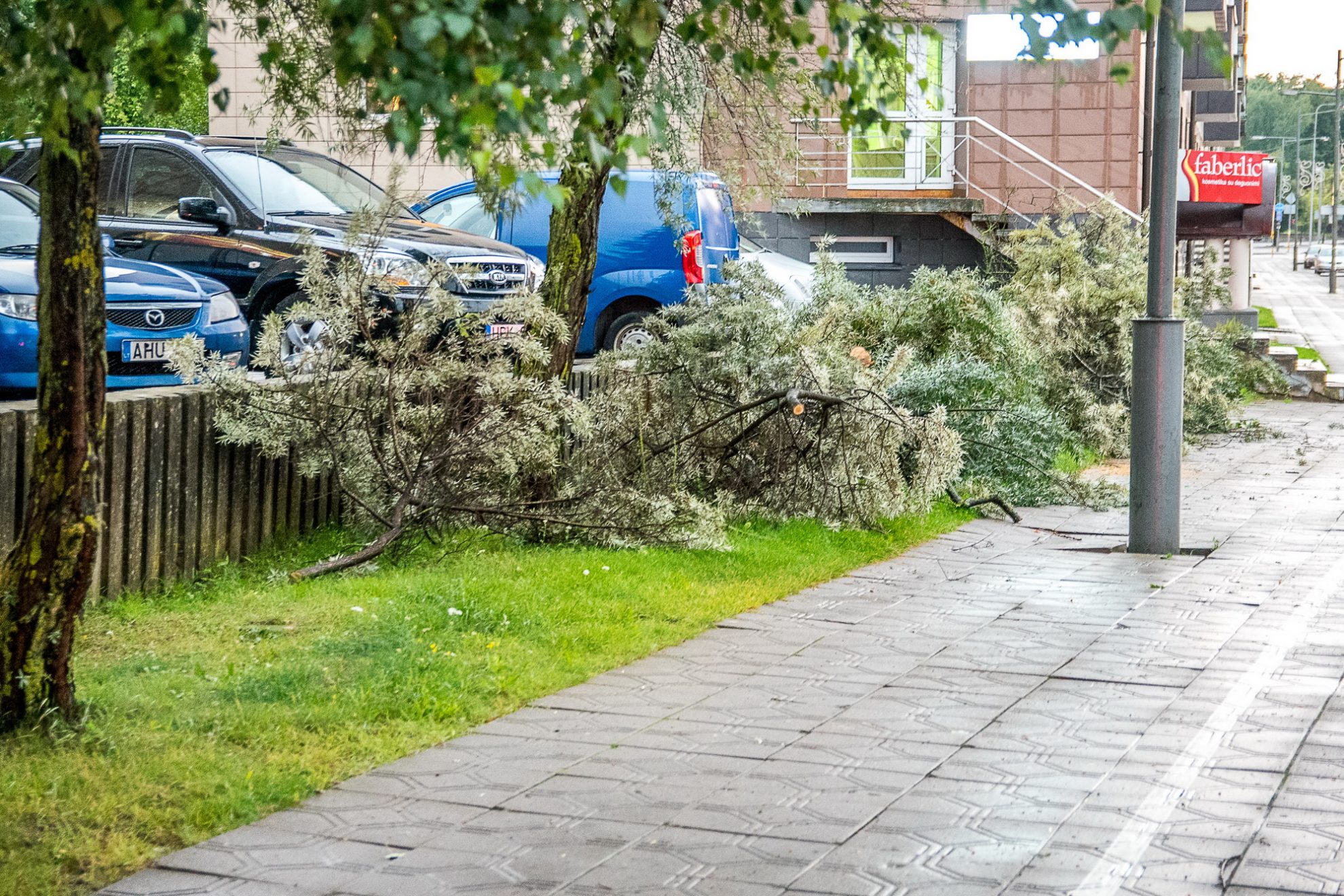 Po karščiausios šią vasarą dienos pranašauta audra šeštadienio vakarą Panevėžio neaplenkė, tačiau miestui pavyko išvengti skaudžių padarinių.