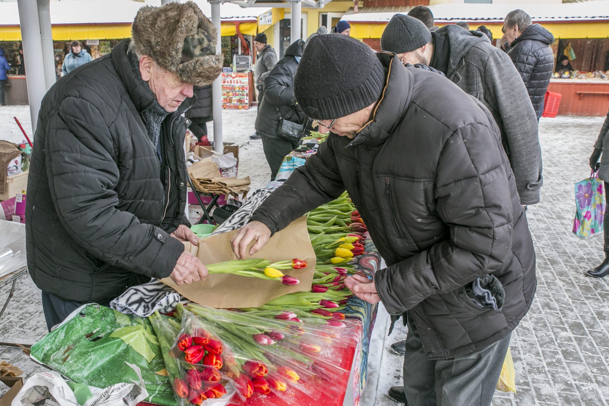 Nors orai nė kiek neprimena pavasario, įvairiaspalvių tulpių žiedai pražydo daugelyje įstaigų ir namų. Tarptautinę moters dieną vyrai išskirtiniu dėmesiu, gėlėmis ar šokoladu stengėsi palepinti ne tik mylimąsias, bet ir mamas, uošves, kaimynes ar koleges.