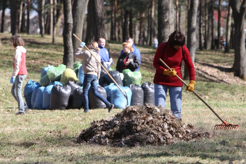 Balandžio 21 d. Panevėžys įsitrauks į tradicinę visoje Lietuvoje vyksiančią švarinimosi akciją „Darom“. Jei ši diena jums netinka, Savivaldybė kviečia tvarkyti teritorijas anksčiau – nuo balandžio 16-osios. Su AB „Panevėžio specialus autotransportas“ atrinkome ir kviečiame tvarkyti šiuos viešuosius plotus: