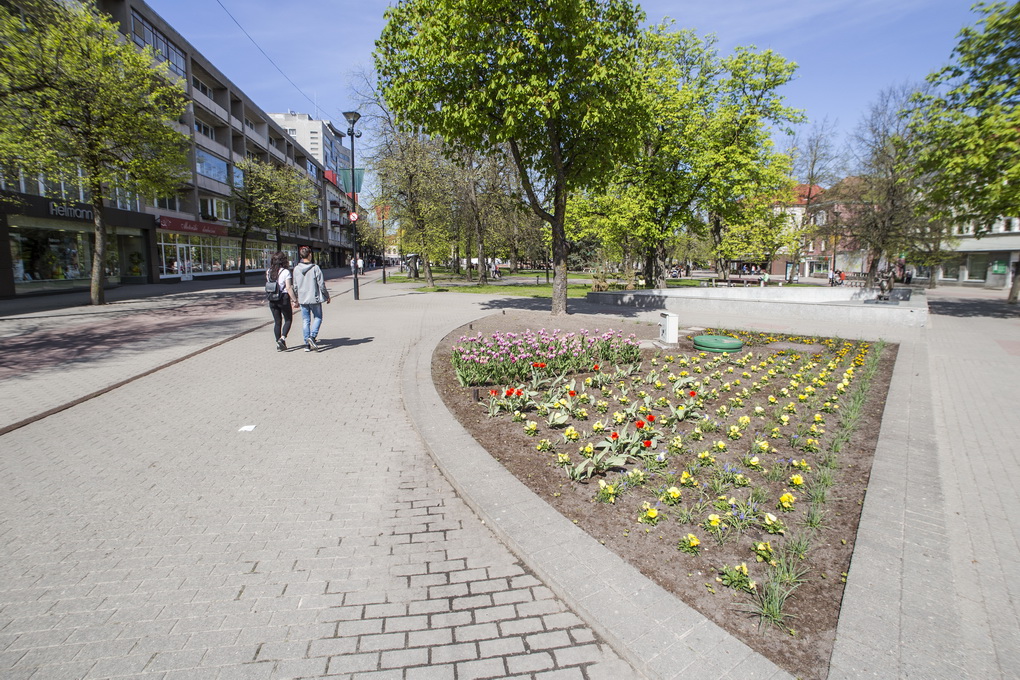 Panevėžiečiai Gegužės 1-ąją sutiko kaip eilinę savaitgalio dieną: vaikštinėjo su šeimomis po miestą, važiavo darbuotis į sodus arba tiesiog ilsėjosi. Praeitin nugrimzdusią šios šventės dvasią prisiminė tik pensininkai, kitaip minėdavę ją sovietmečiu.