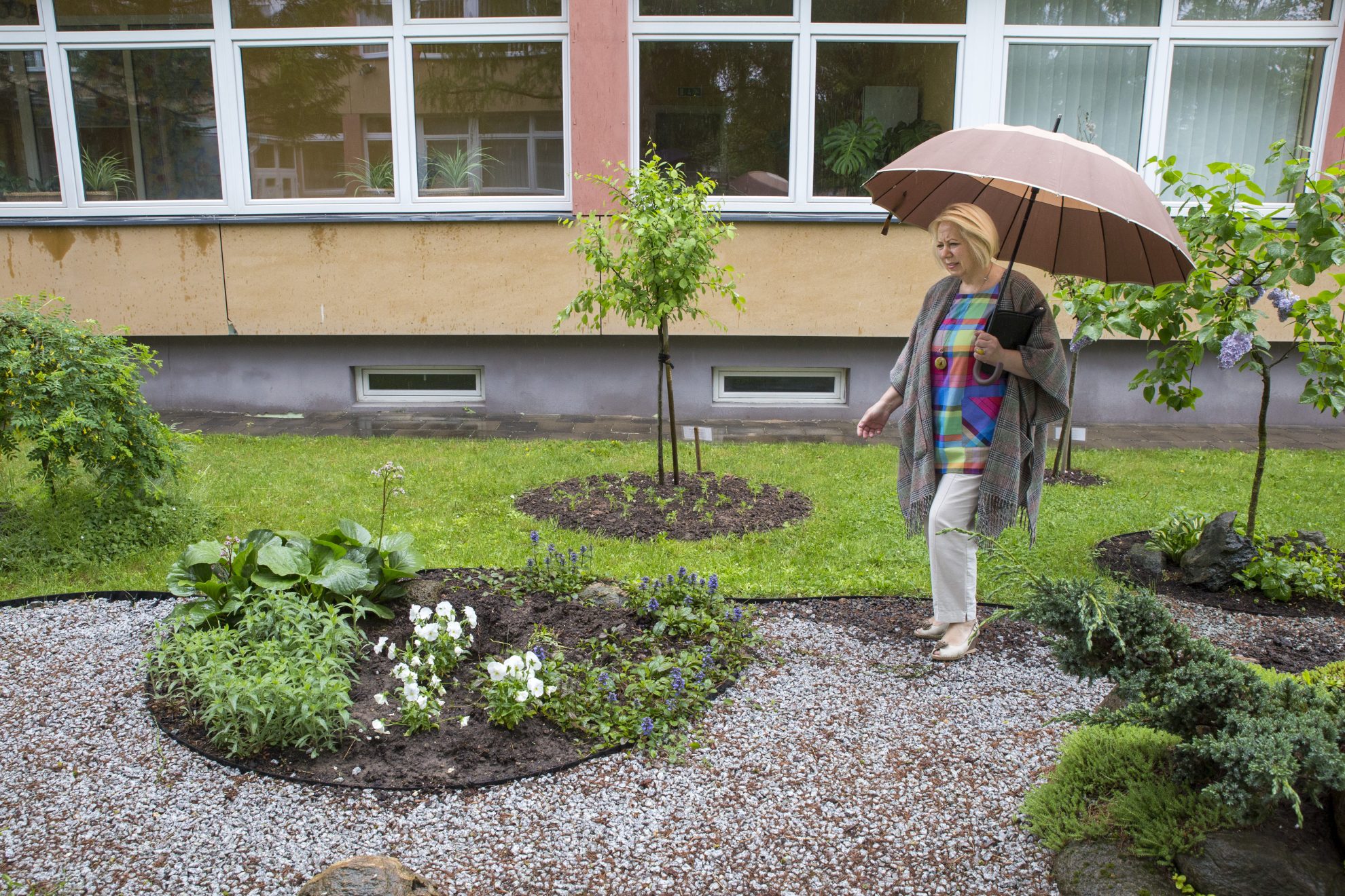 Nors Panevėžio kurčiųjų ir neprigirdinčiųjų pagrindinė mokykla ką tik apdovanota kaip viena gražiausiai aplinką mieste tvarkančių švietimo staigų, jos bendruomenėje – ne itin šventinės nuotaikos. Po savaitgalio čia išrauti keli dekoratyviniai medeliai. Augalų vagystė panašiu metu užfiksuota ir netoli esančioje „Saulėtekio“ progimnazijoje.