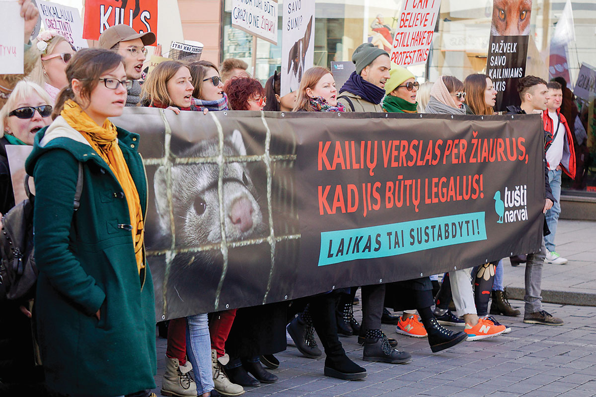 Vakarų Europos politiniame žemėlapyje žalieji yra matoma, tačiau negausi jėga. Atrodytų, paradoksalu, bet Lietuvoje žalieji atstovų praktiškai neturi.