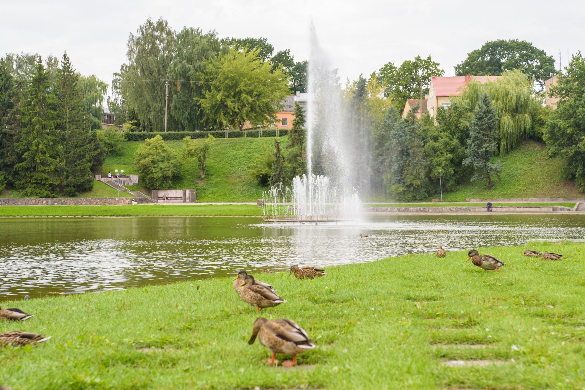 Panevėžio gimtadienio vinimi turėjo tapti įspūdingai atnaujintas, grojantis ir šokantis, didžiulis fontanas Senvagėje. Konkursą jam rekonstruoti antrą kartą rengianti Savivaldybė ir kitiems miesto fontanams numačiusi esminius pokyčius.