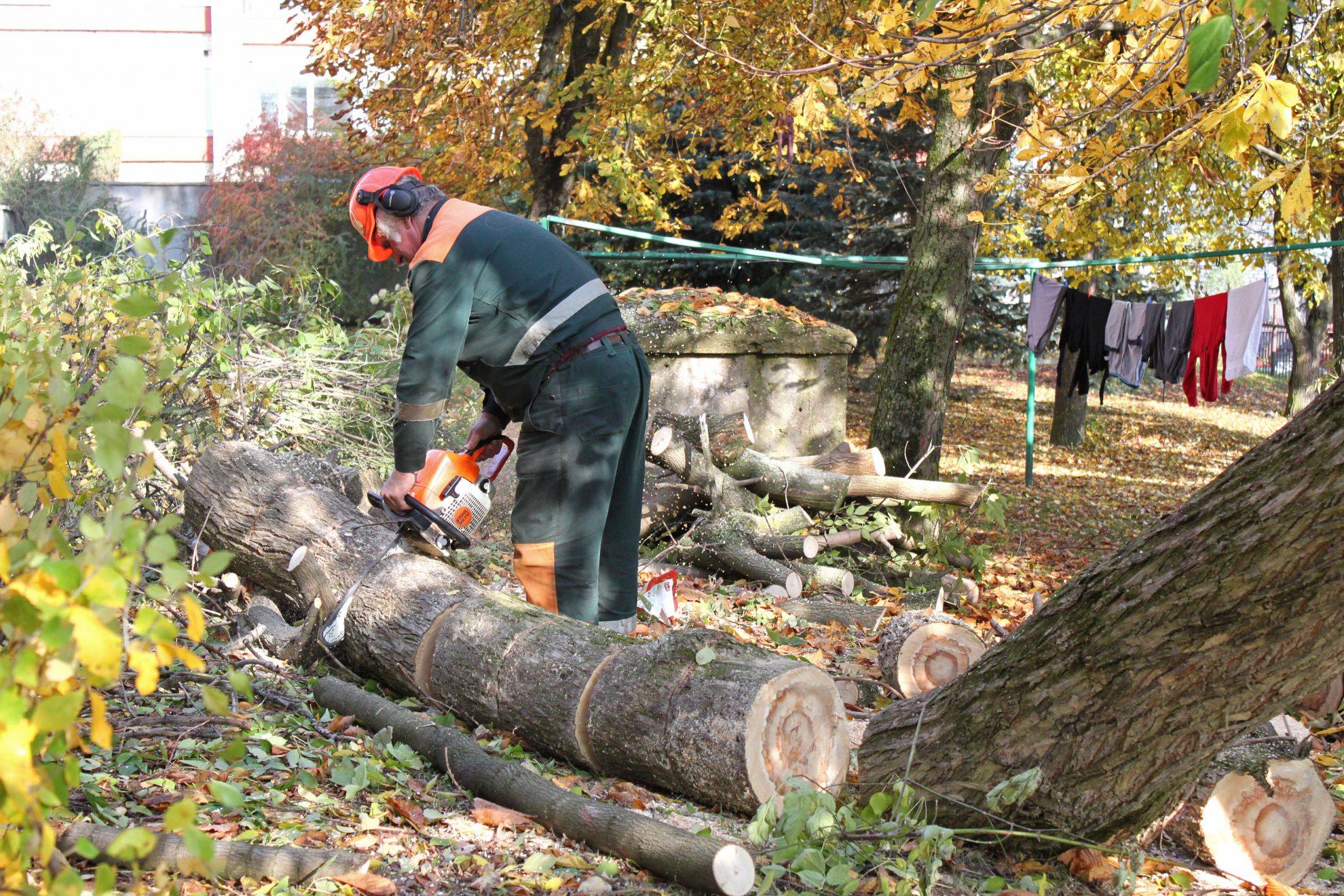 Šalį plakusi audra ketvirtadienio naktį neaplenkė ir Panevėžio krašto. Mūsų, taip pat Klaipėdos, Šiaulių, Panevėžio, Utenos ir Širvintų rajonai, visa Vilniaus apskrities šiaurinė dalis patyrė daugiausia žalos. Neatlaikę vėjo gūsių virto medžiai, apgadindami automobilius ir tūkstančius gyventojų palikdami be elektros.