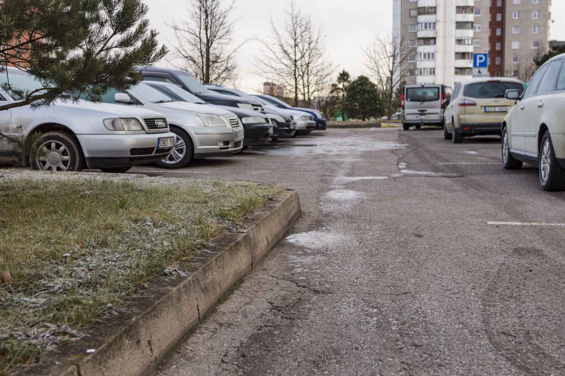 „Man ranka nekyla „palaikinti“ šiemetinės Panevėžio kalėdinės eglės. Jos puošybai miestas davė net 150 tūkst. eurų, o štai mano bėdoms pinigų neranda“, – priekaištauja panevėžietė Irma Laiškonienė.