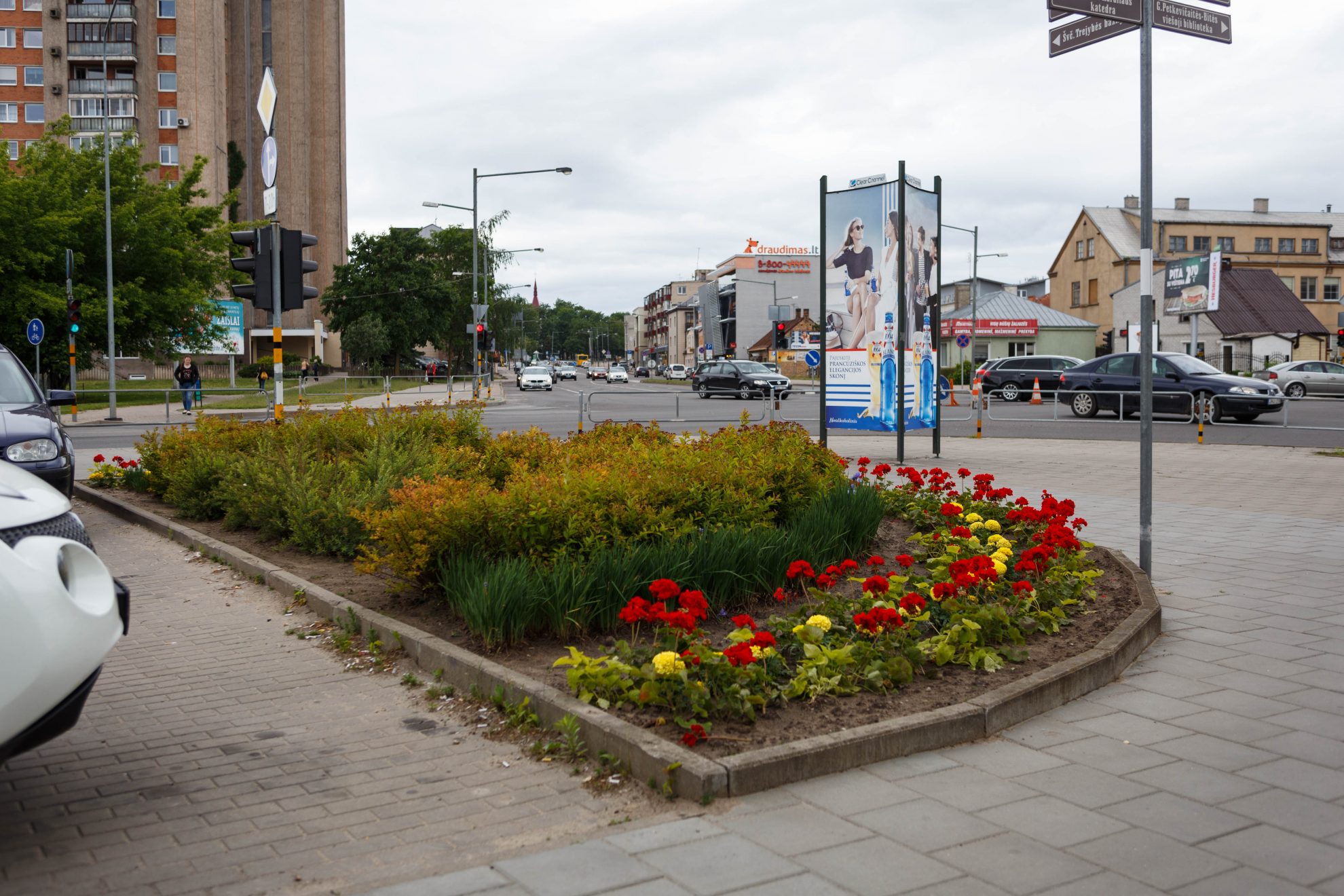 Dėl grandiozinių tvarkymo darbų Panevėžio centrinėje dalyje šią vasarą žydės mažiau gėlių, tačiau daugiau grožio jau atsirado ir vis dar kuriama kitose erdvėse.