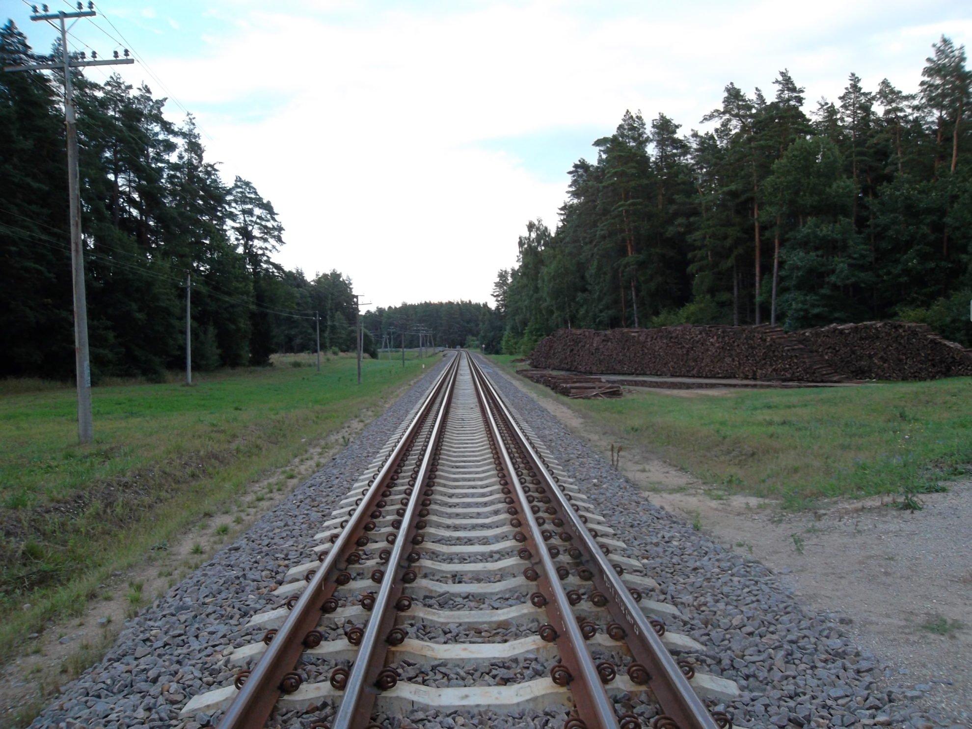 Europinės geležinkelio vėžės „Rail Baltica“ projekto įgyvendinimą koordinuojanti bendra trijų Baltijos šalių įmonė „RB Rail“ jau šiemet ketina paskelbti ruožo nuo Kauno link Latvijos sienos statybos rangovo konkursą. Kelio statybą numatoma pradėti 2021 metais.