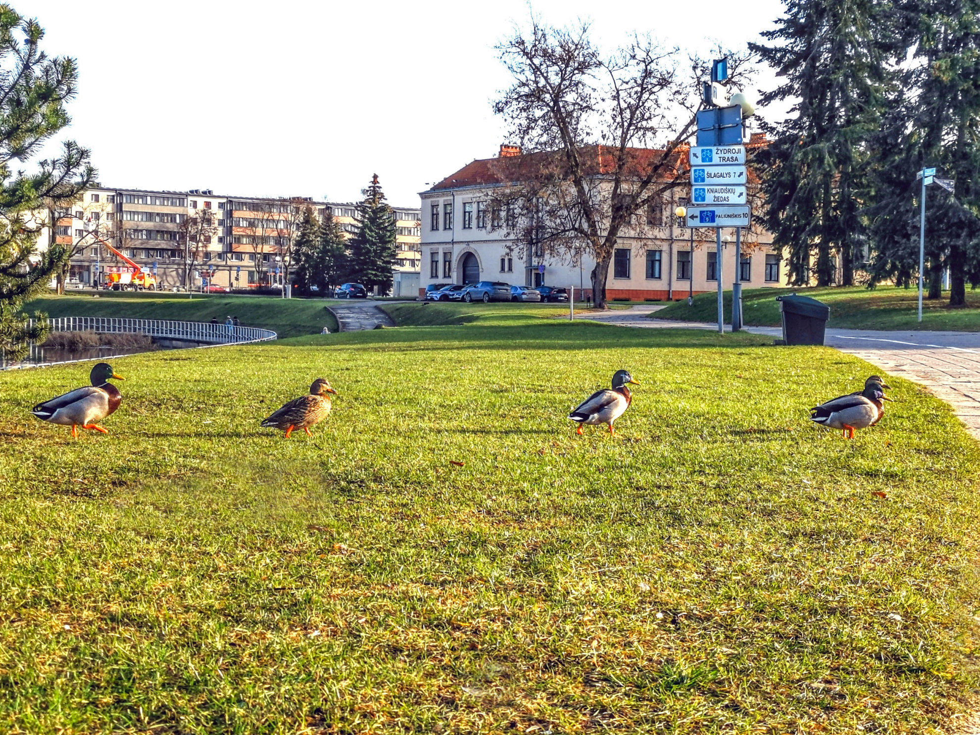 Praėjusi kalendorinė žiema Lietuvoje buvo šilčiausia per visą meteorologinių stebėjimų laikotarpį, pirmadienį paskelbė Lietuvos hidrometeorologijos tarnyba.