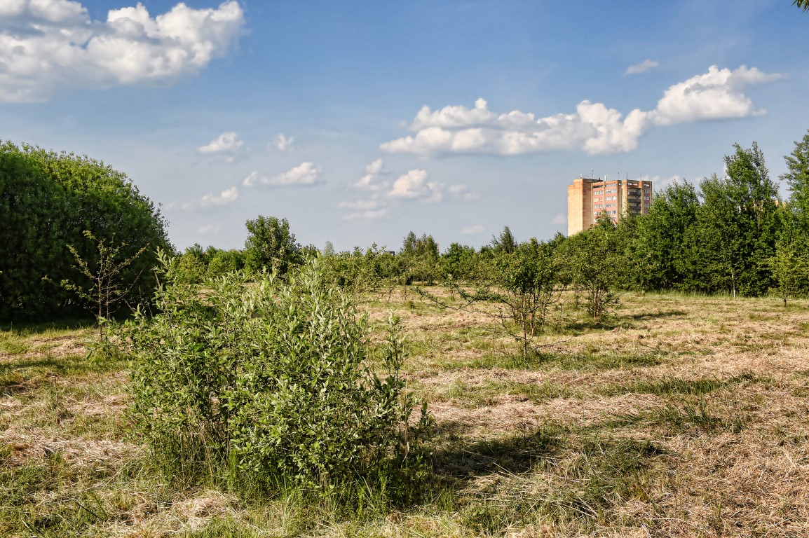 Panevėžio miesto savivaldybė su UAB „Panprojektas“ miesto bendruomenei pristatė būsimojo Kniaudiškių parko viziją. Parkui kurti numatyta 7,7 ha teritorija tarp Molainių, Žygeivių ir V. Alanto gatvių. Ši žalioji zona bus pritaikyta poilsio ir rekreacijos reikmėms.