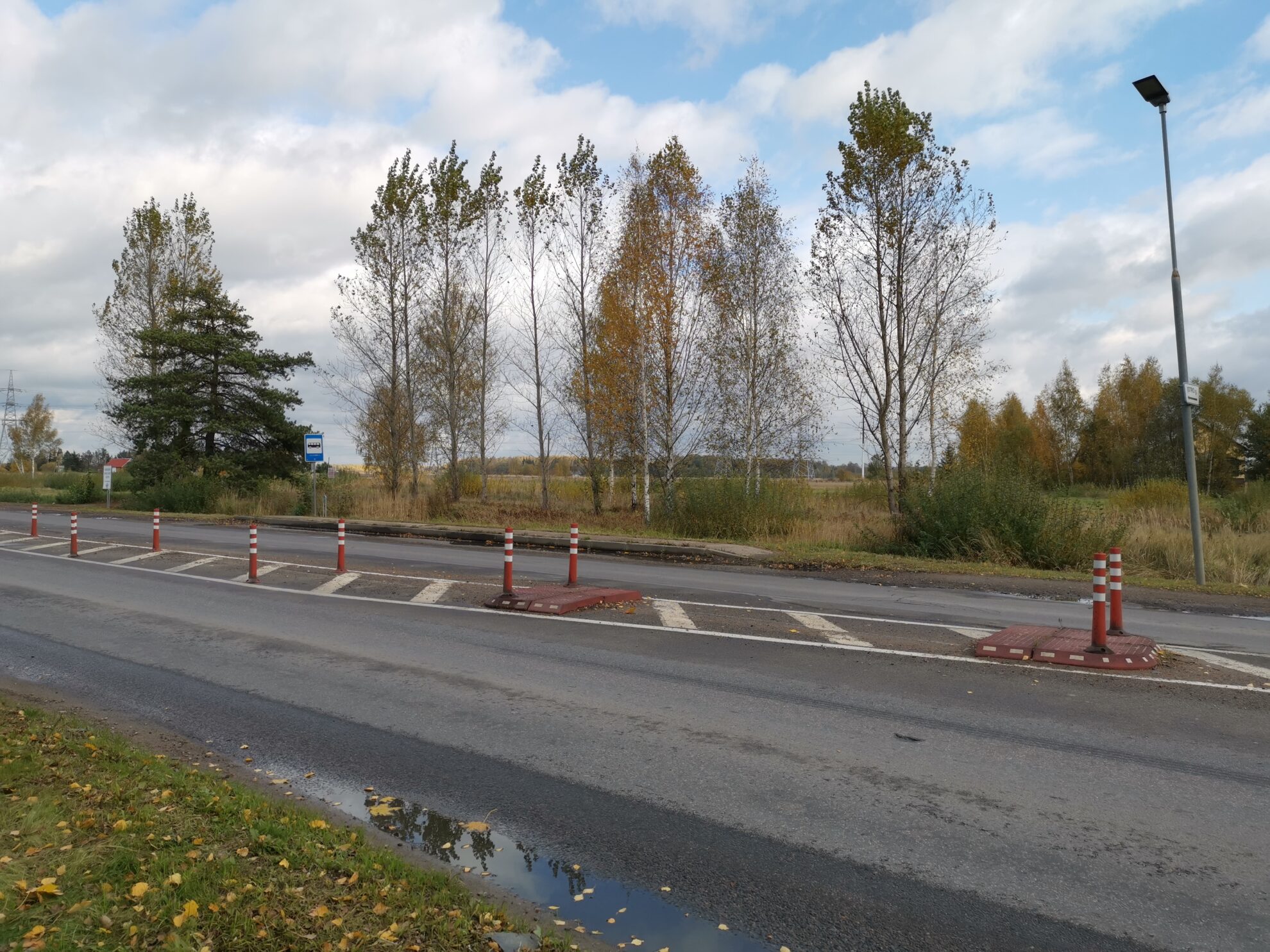 Panevėžyje yra vos kelios nežymėtos perėjos, tačiau miestiečius jos glumina – dauguma įsitikinę, kad kirsti gatvę tokioje vietoje nėra taip saugu, kaip įprastoje perėjoje.