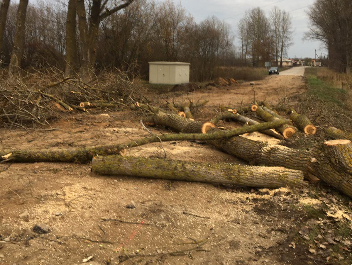 Kone avarinės būklės Kėdainių gatvės rekonstrukcija į modernią, su pėsčiųjų ir dviračių takais kai kuriuos panevėžiečius privertė stvertis už galvos.