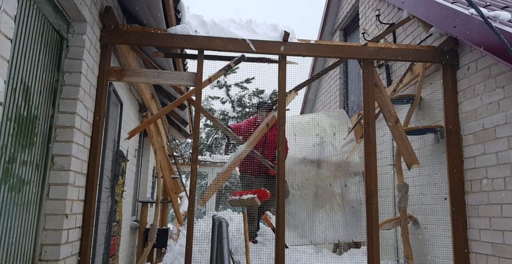 Panevėžio gyvūnų globos draugijos prieglaudoje Kaimiškyje neatlaikiusi sniego dangos įlūžo terasa, kurioje šiltesnes dienas praleisdavo murklės. Pasisekė, kad nuostolių patirta tik finansinių.