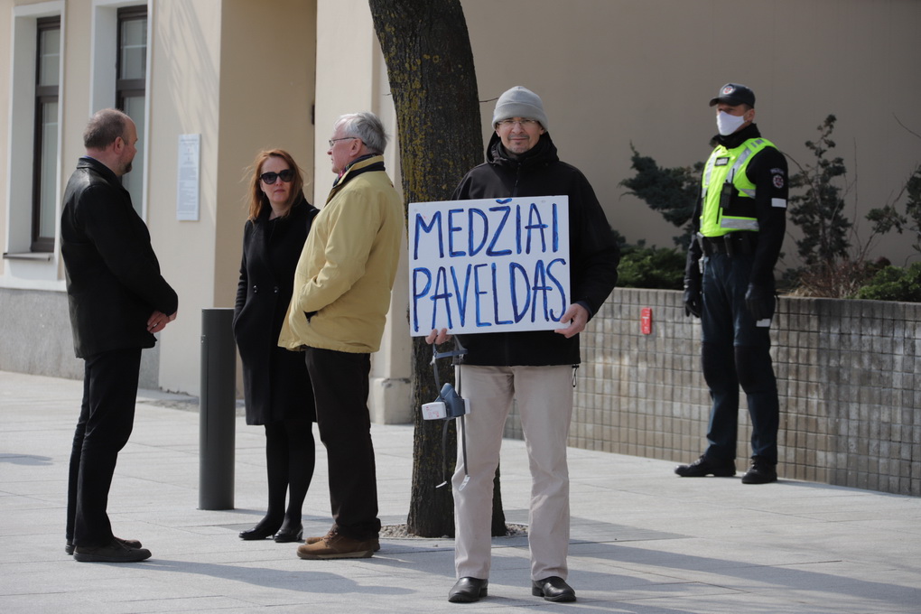 Rekonstruotoje Panevėžio Laisvės aikštėje naktį savavališkai klevą pasodinęs panevėžietis Rytis Zaveckas ne veltui įspėjo nesirengiantis iškasti, nes atsiras jį ginanti pilietinė visuomenė.