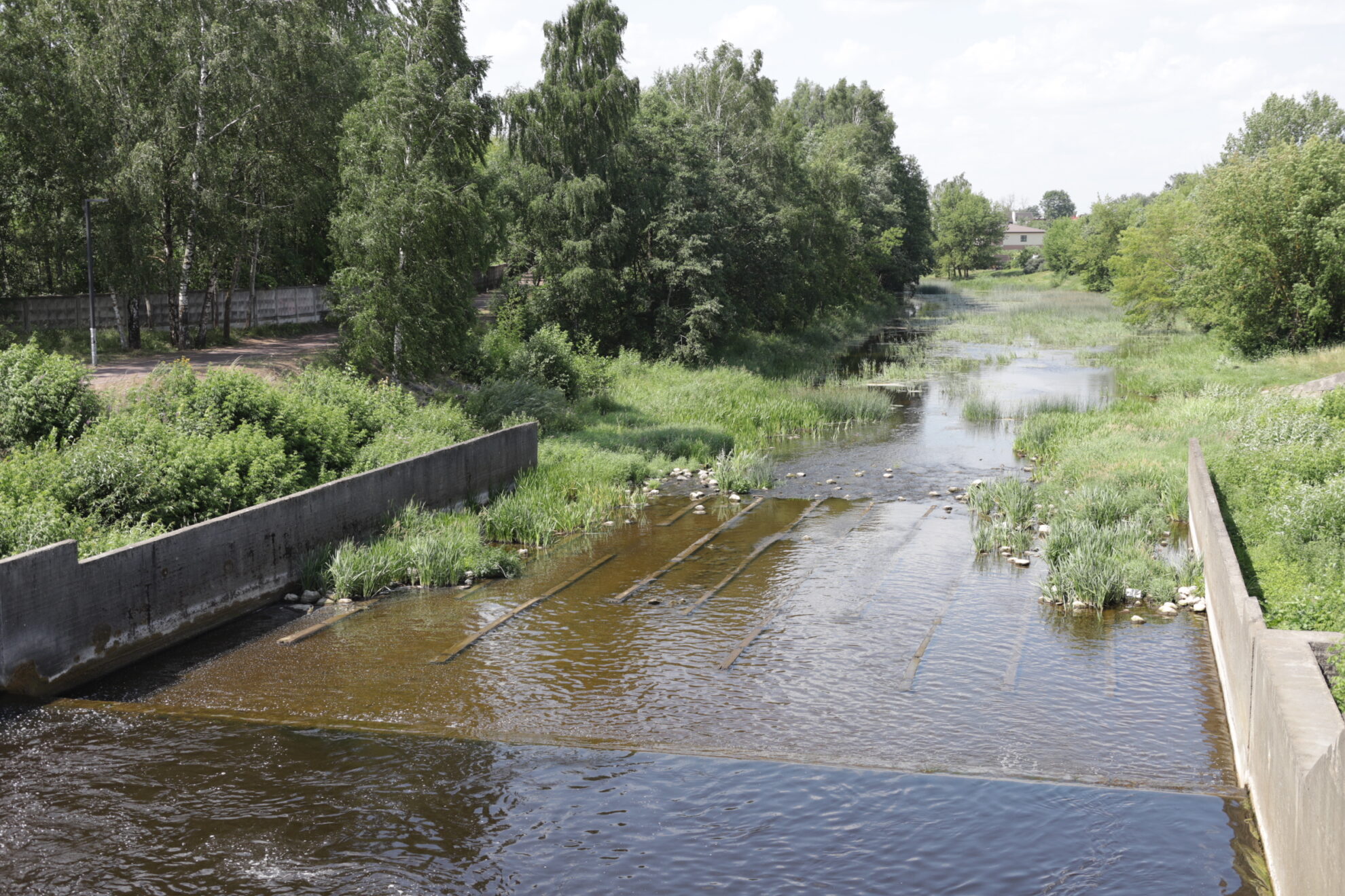 Jei tikėtume senoliais, liepos 10-ąją, septyni broliai eina miegoti, palikdami žinią apie laukiamus orus. Sakoma, kad jei tokią dieną lyja, lis ir dar septynias dienas ar net visas septynias savaites.