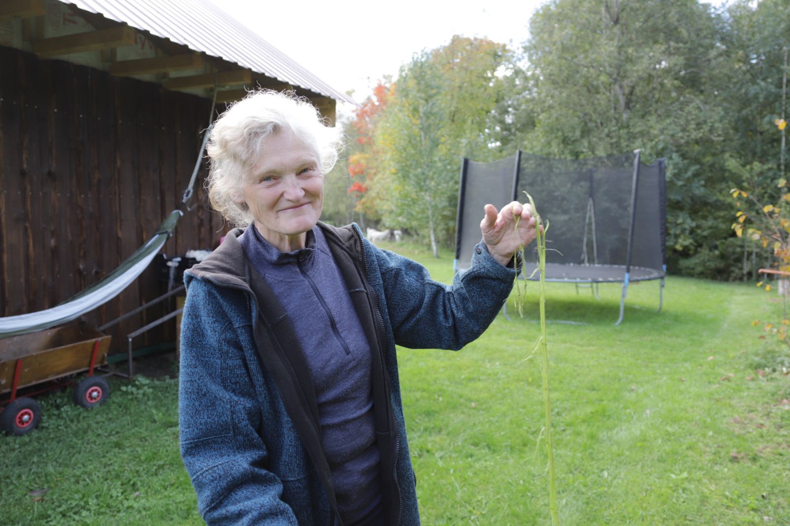 Ar įsivaizduojate, kaip atrodo kepurė, megzta iš moherio ir bananų pluošto siūlų? O iš nušukuoto šuns kailio? Tokie netradiciniai gaminiai gimsta netoli Naujamiesčio esančiame buvusios miestietės Gražinos Vildzevičienės vienkiemyje.