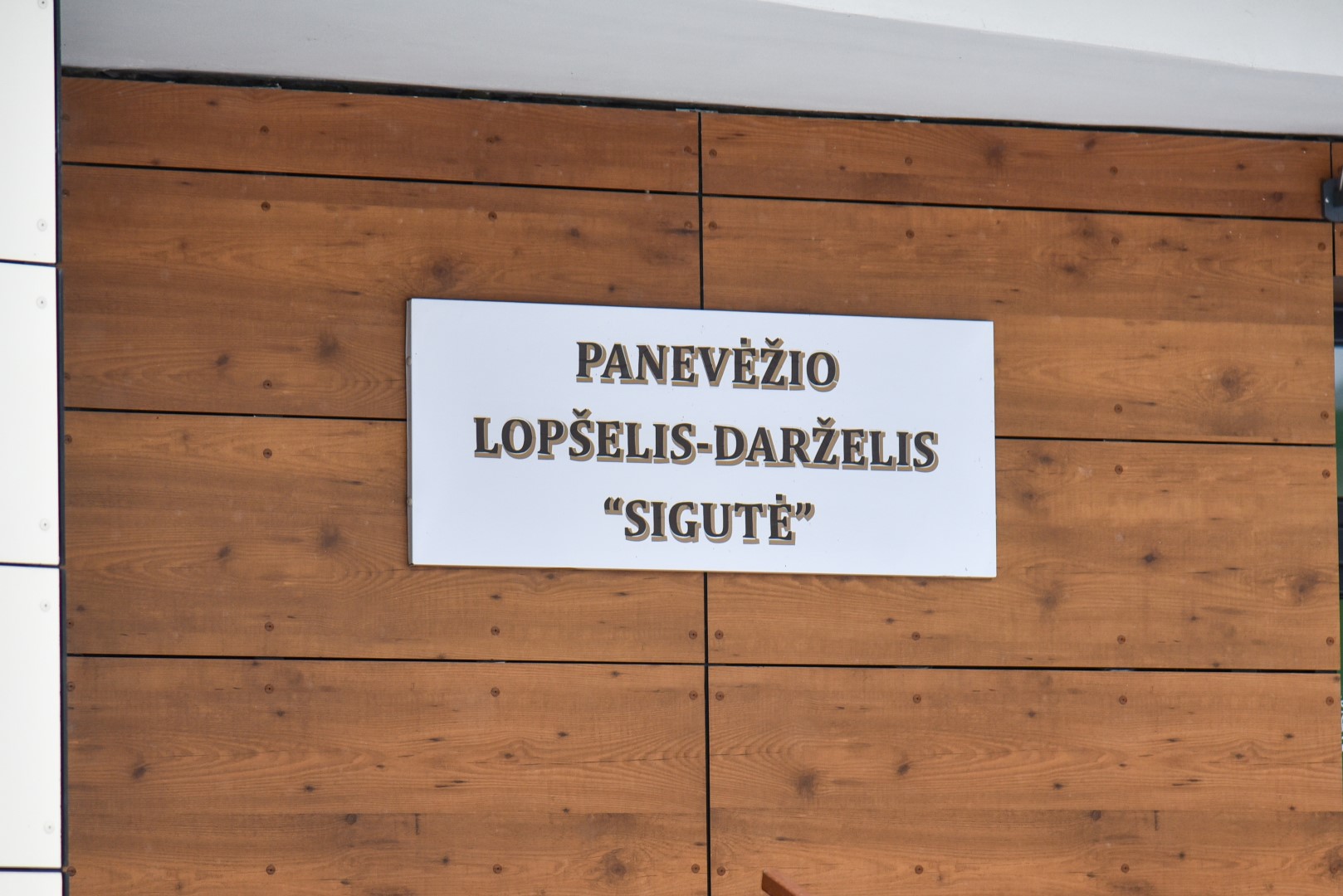 Panevėžio miesto savivaldybėje vyko konkursas lopšelio-darželio „Sigutė“ direktoriaus pareigoms užimti. Direktoriaus pareigas ir toliau eis dabartinė įstaigos vadovė Berutė Laureckienė.