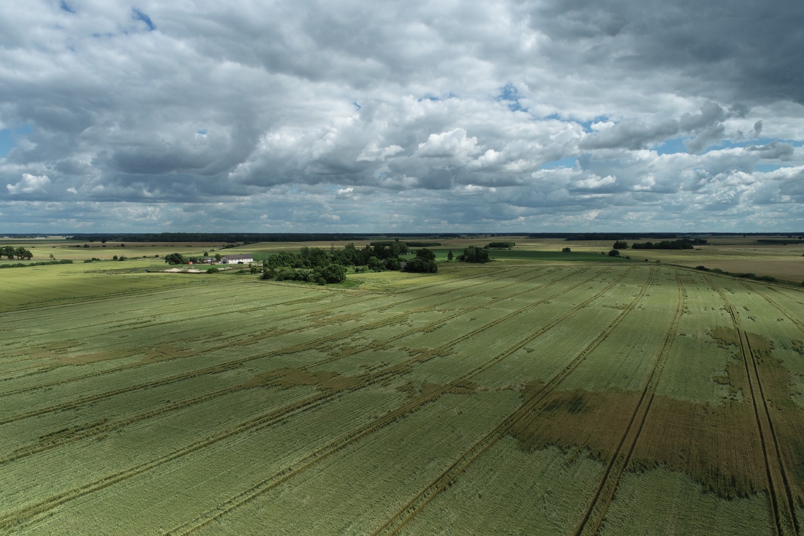 Visoje Lietuvoje liepos 12 dieną iškritęs gausus kritulių kiekis pažeidė pasėlių laukus ir pridarė daugiau kaip 7 mln. eurų nuostolių.