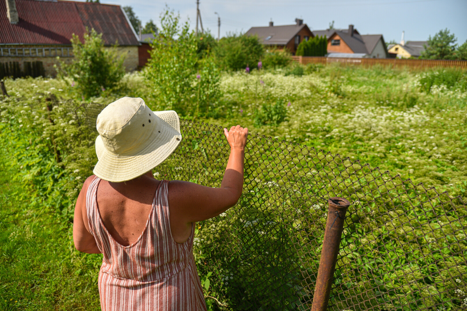 Savo sklypų nešienaujančių, kaimynus apdovanojančių piktžolių sėklomis, šliužais ir erkėmis apsileidėlių Panevėžyje – septynios dešimtys. Pernai tokių būta perpus mažiau.