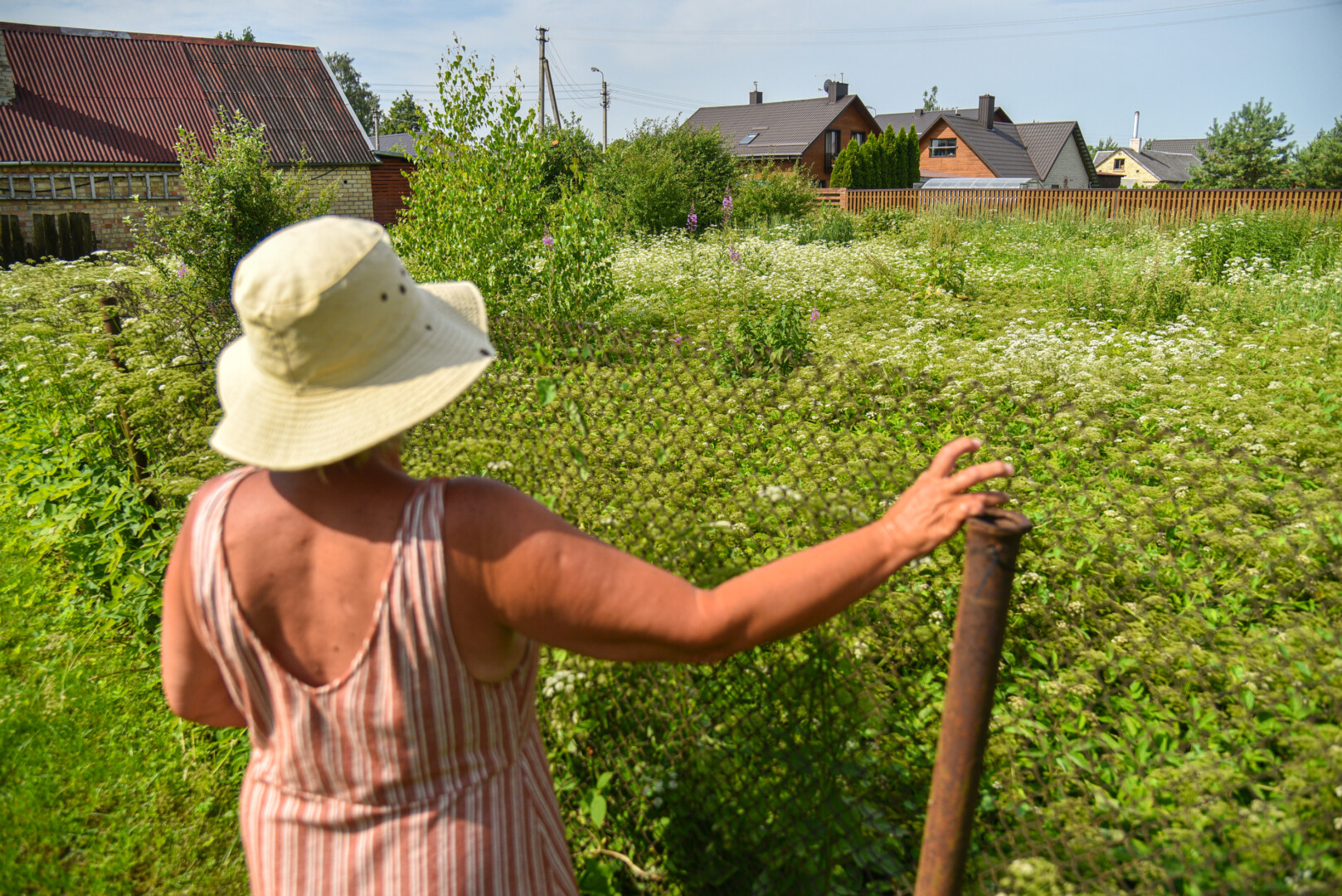 Savo sklypų nešienaujančių, kaimynus apdovanojančių piktžolių sėklomis, šliužais ir erkėmis apsileidėlių Panevėžyje – septynios dešimtys. Pernai tokių būta perpus mažiau.