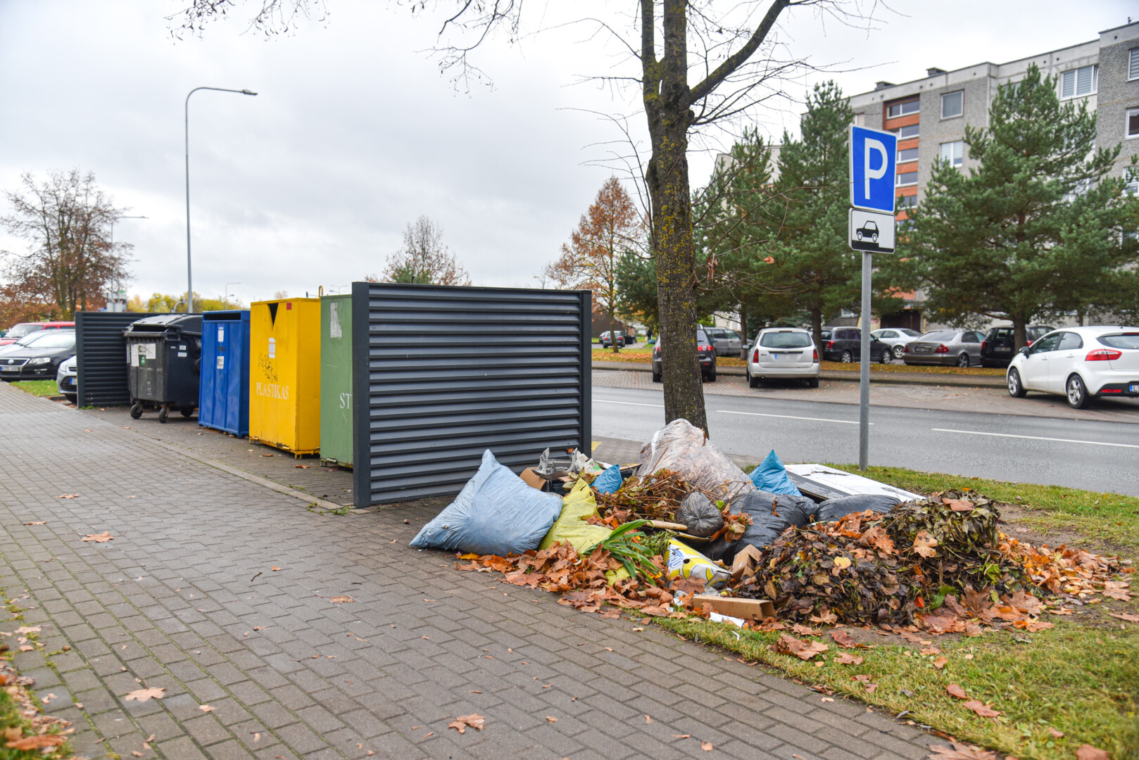 Rudenį darbo padaugėja ne tik lapų grėbėjams, bet ir viešosios tvarkos inspektoriams.