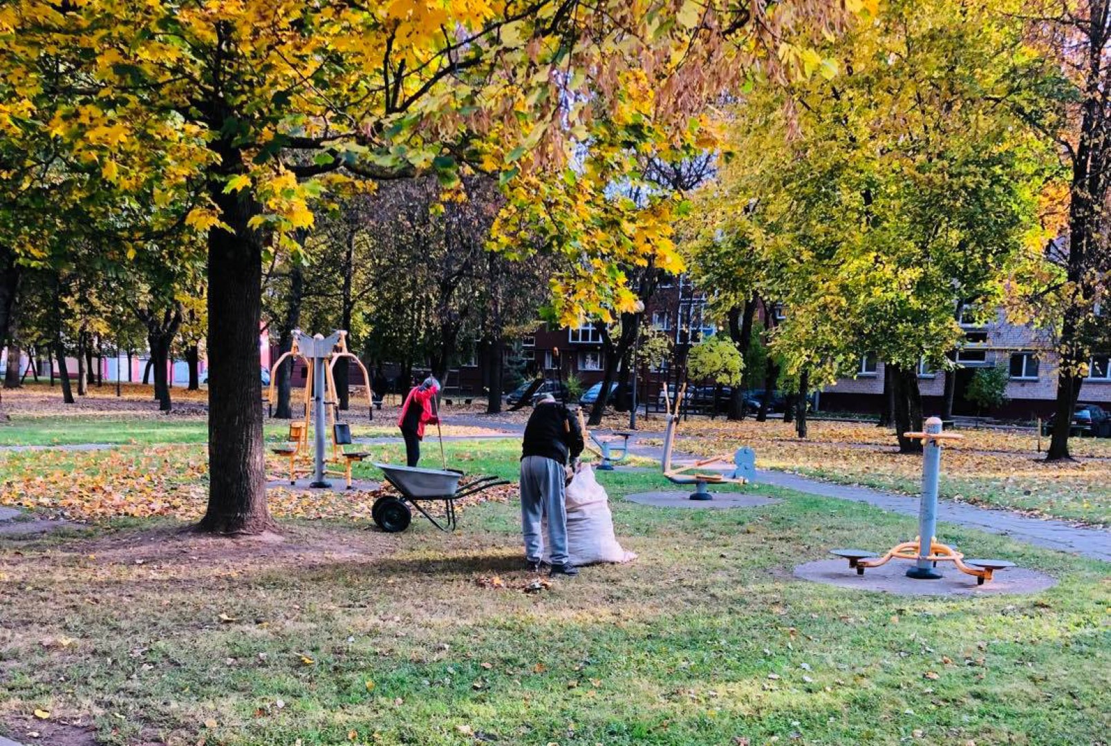 Panevėžyje keli šimtai pašalpų gavėjų už tokią valstybės paramą atidirba mojuodami grėbliais, šluotomis.