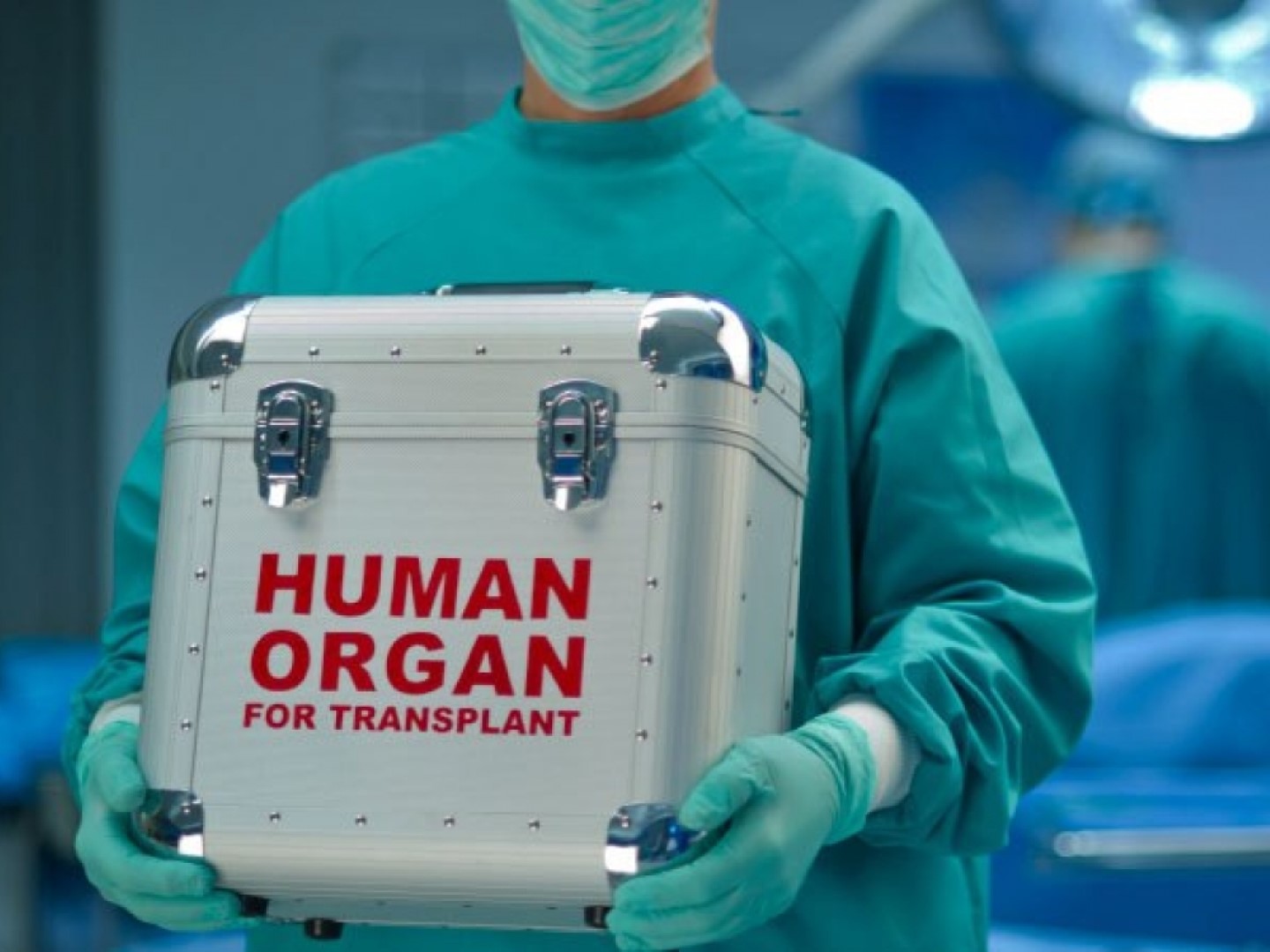 Nacionalinio transplantacijos biuro prie Sveikatos apsaugos ministerijos (NTB) duomenimis, praėjusiais metais buvo registruota 117 potencialių donorų, iš jų efektyviais tapo 46 donorai, o 31 donoras buvo multiorganinis.